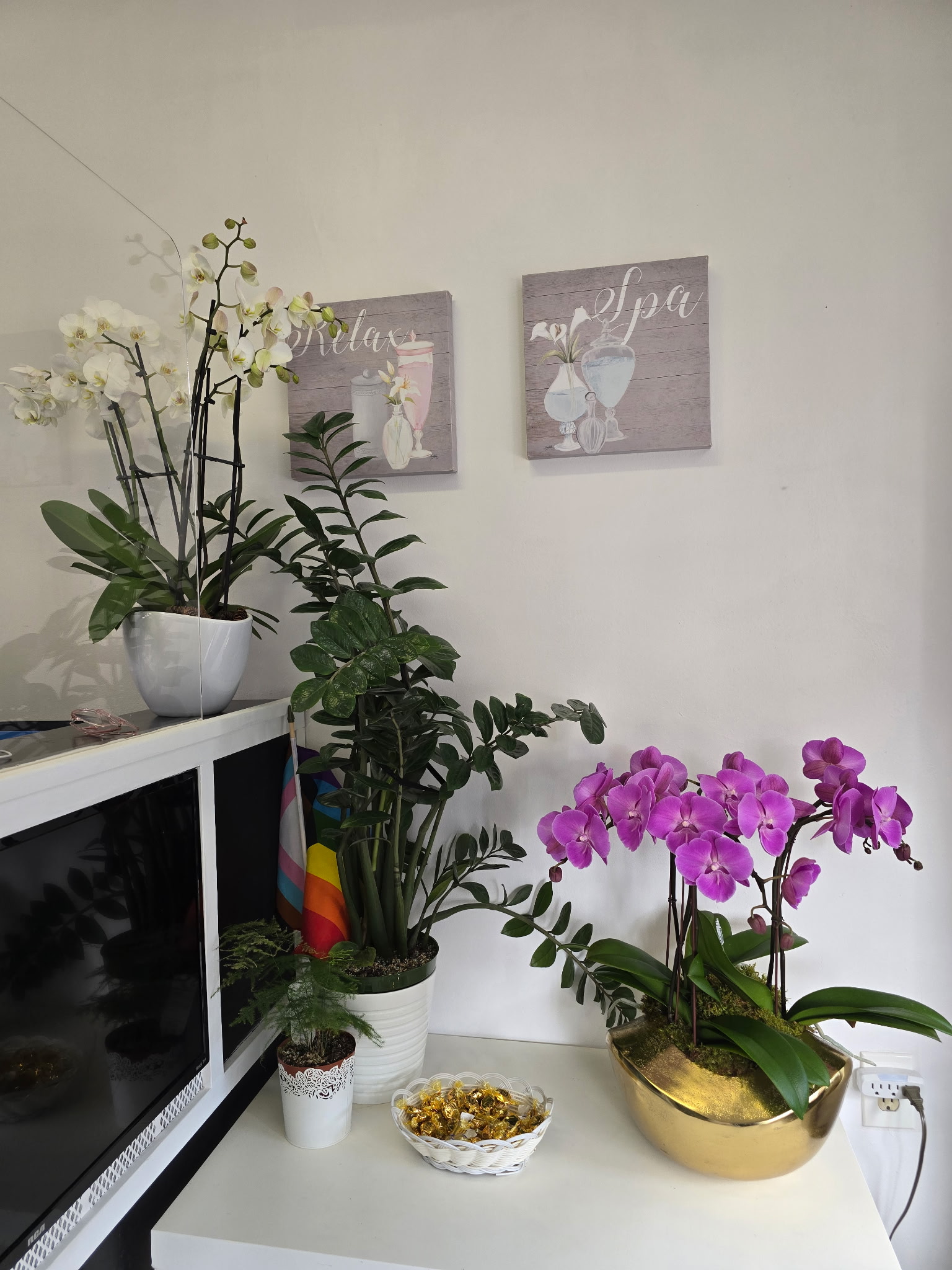 AN Nail Spa welcoming decor with orchids, plants, and Relax and Spa wall art